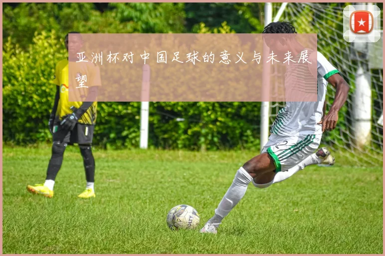 亚洲杯对中国足球的意义与未来展望